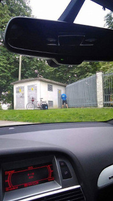 Wolt paparazzi pissing